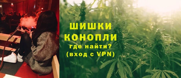 индика Луховицы