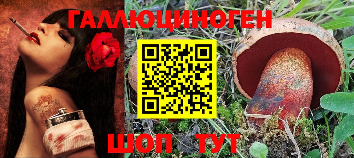 Галлюциногенные грибы GOLDEN TEACHER  Галлюциногенные грибы GOLDEN TEACHER  Вход с VPN  Осинники 